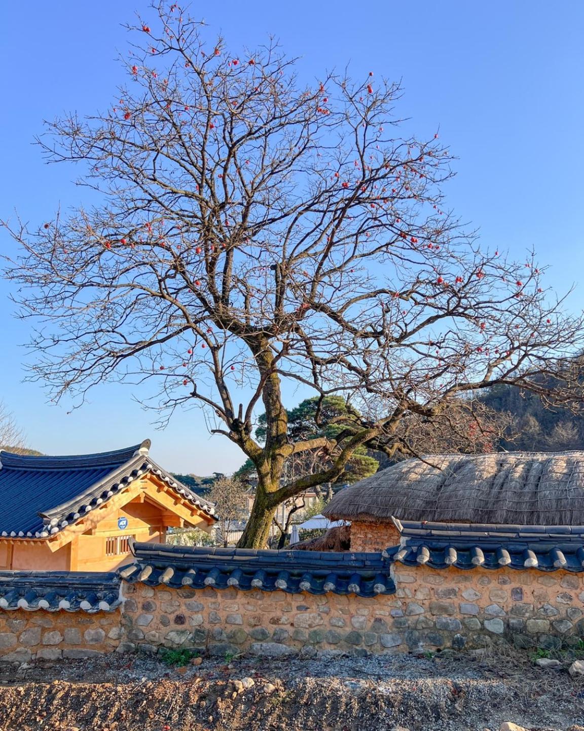 Jukheon Traditional House Andong Exterior foto